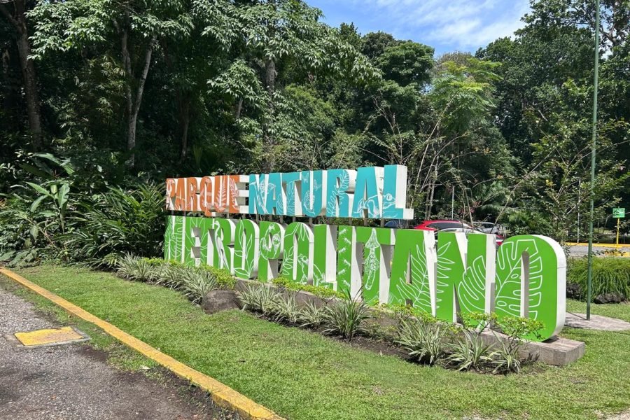 Adventure in the Metropolitan Natural Park